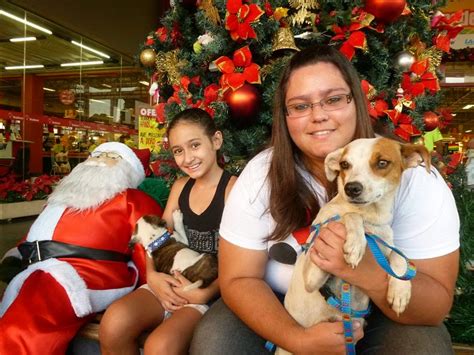 Amor Sem Pre O Feirinha De Ado O De Animais Do Sempreaseulado