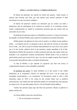 Tema 1 Teoría del Derecho pdf