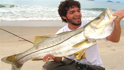 Técnicas Para Pesca Do Robalo Na Praia Dicas Iscas E Muito Mais