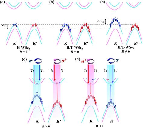 Researching Controllable Valley Magnetic Response In Phase