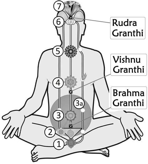 The 3 Stages Of Kundalini Awakening From Dormancy To Bliss Fitsri Yoga