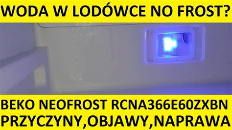 Cieknie Woda W Lod Wce No Frost Beko Neofrost Opinie Przyczyny Objawy