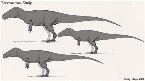 Explore the Best Torvosaurus Art | DeviantArt