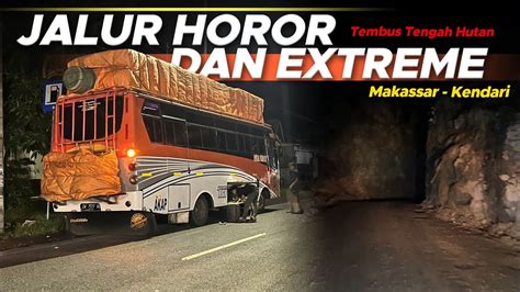 JALUR EXTREME DAN HOROR TEMBUS TENGAH HUTAN Bus Raja Paket Makassar