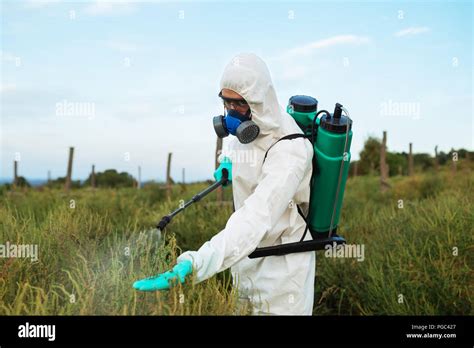 Agriculture Pest Control Young Worker Spraying Organic Pesticides On Fruit Growing Plantation