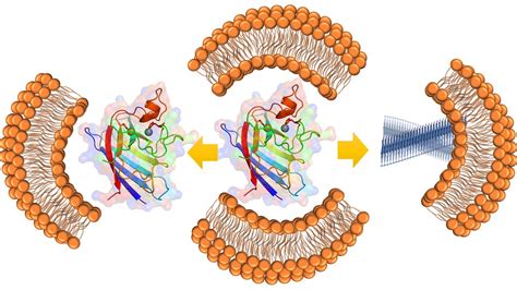 An Ions Role In ALS ELife Science Digests ELife