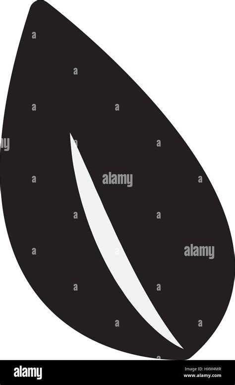 black leaf  plant design stock vector image art alamy