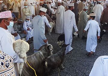 Oman Nizwa Goat Market Souks Fort