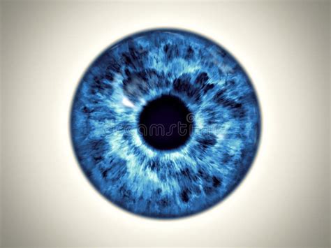 Blue Eye Iris Stock Illustration Illustration Of Black