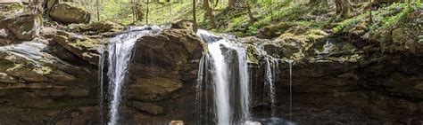 Tennessee Naturalist Program