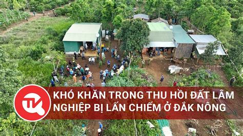 Khó Khăn Trong Thu Hồi đất Lâm Nghiệp Bị Lấn Chiếm ở Đắk Nông Truyền