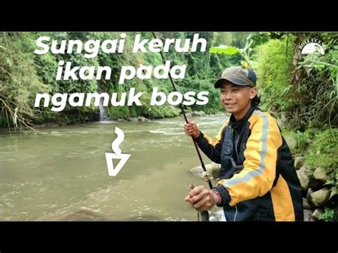 Mancing Di Sungai Yang Keruh Bikin Joran Melengkung YouTube