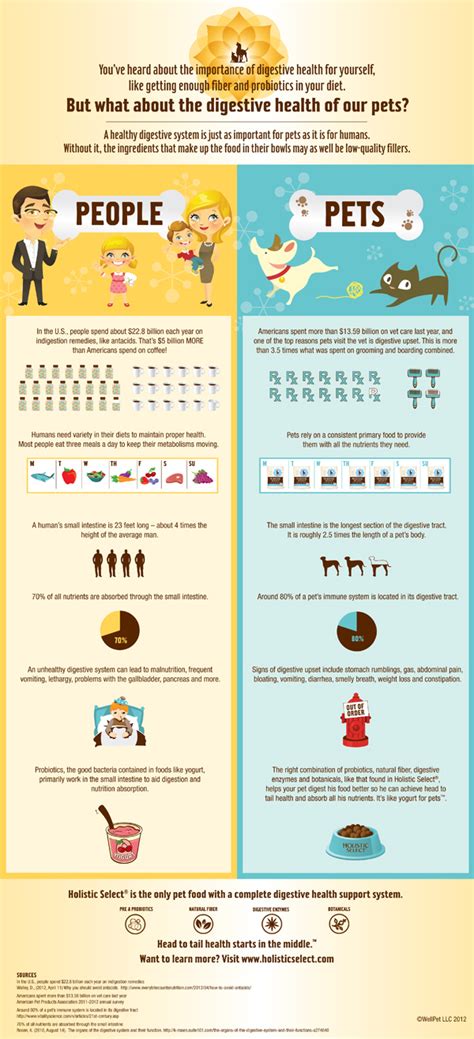 Digestive Health Is Important For You And Your Pets Infographic