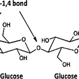 Illustrates the chemical structure of cellulose | Download Scientific ...