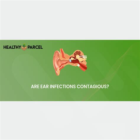 Are Ear Infections Contagious Ear Infection Acute Otitis Media