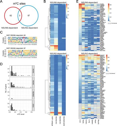 Hap1 Cell Bioz Ratings For Life Science Research