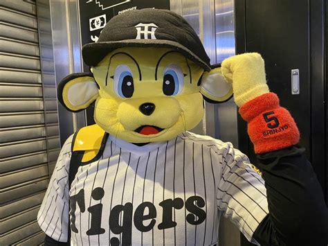 写真 10ページ目「くたばれ読売そーれいけいけ！」“阪神38年ぶり日本一”スクール水着、カッパコスプレ道頓堀に鳴り響く六甲おろし「感傷