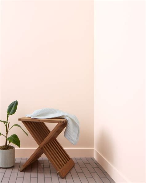 Blanched Coral 886 Benjamin Moore Benjamin Moore Pink Benjamin Moore Paint Color Swatches