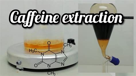 Caffeine From Coffee Caffeine Extraction Youtube