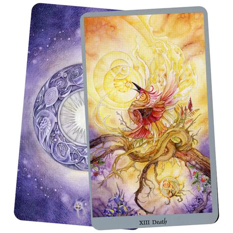 Shadowscapes Tarot Deck Stephanie Pui Mun Law Tarot Nl