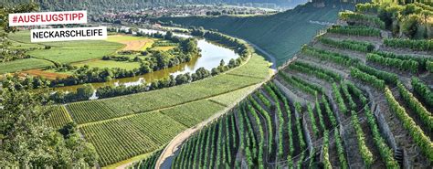 Ausflugstipp Hessigheimer Felsengärten und Neckarschleife Weinheimat