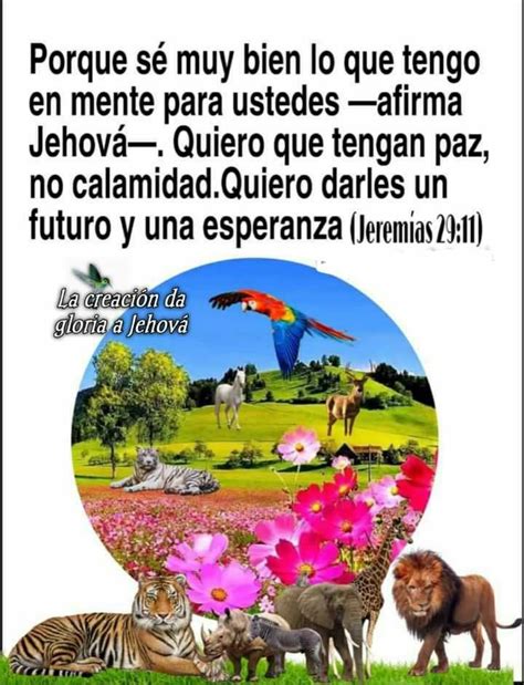 Pin de Martha Paleo en paraiso Humor testigos de jehová Textos