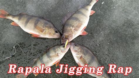 Мой любимый Балансир Рапала! Зимняя рыбалка на окуня. - YouTube