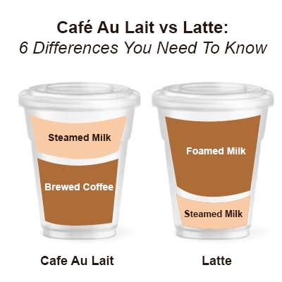 Café Au Lait vs Latte 6 Differences You Need To Know