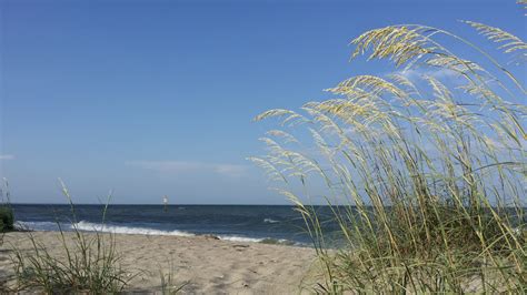 Darmowe Zdjęcia plaża morze Wybrzeże drzewo trawa piasek ocean