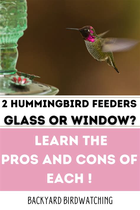 Types Of Hummingbird Feeders Which Is Best For You By Joyful Birder