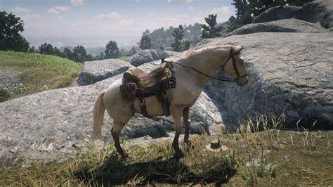 Hamish Sinclair and his horse Buell. : r/reddeadredemption