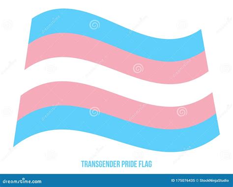 Transgender Pride Flag Waving Vector Illustration Designed With Correct