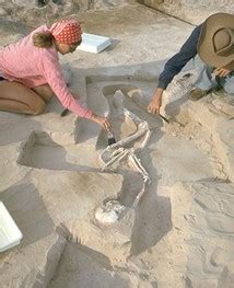 Lake Mungo and Early Occupation- archaeological evidence - Indigenous ...