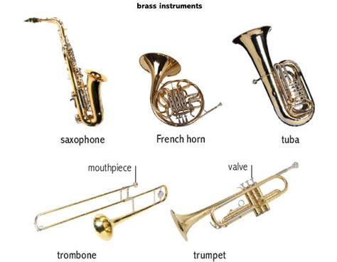 Know Well About the 5 Categories of Instruments & Pick Up The Right Beats!