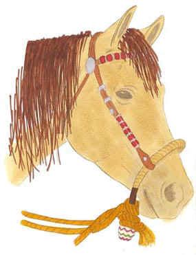 Bosal Mecate-Hackamore