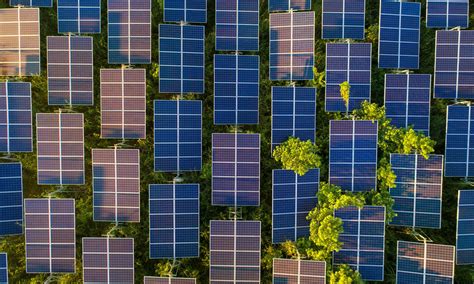 Top View Of Solar Panels Solar Cell In Solar Farm With Green Tree And