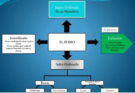 Mentefacto qué es características partes ejemplos