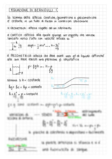 SOLUTION DINAMICA DEI FLUIDI Studypool