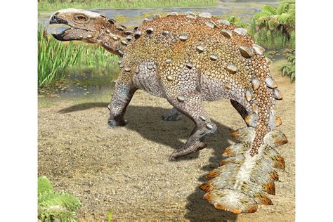 Ces Dinosaures Incroyables Ont T D Couverts Derni Rement Un