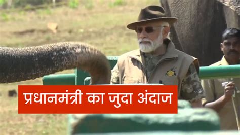 Narendra Modi New Look Bandipur Tiger Reserve Visit Karnataka Pm Modi