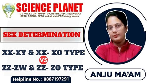 CHROMOSOMAL BASIS OF SEX DETERMINATION Ll By ANJU MAM Bpscbiology