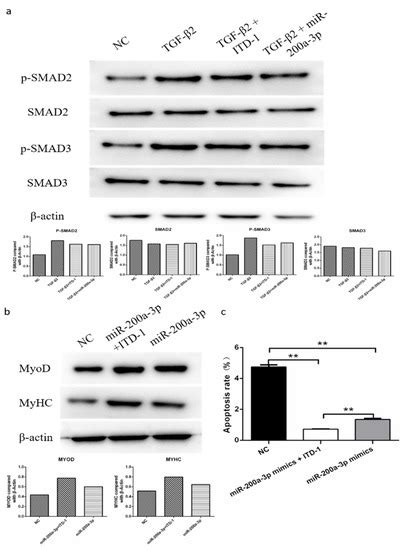 Ijms Free Full Text Microrna Profiling Reveals An Abundant Mir A