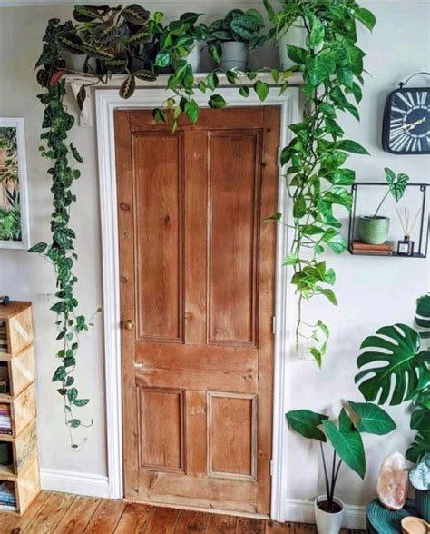 15 Creative Pothos Wall Decor Ideas For A Stunning Decor Indoor Garden Web