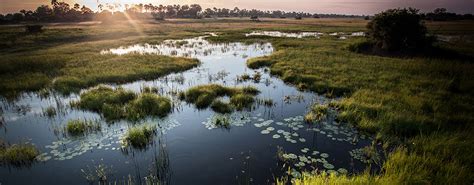 Okavango Delta Map - Navigating Africa's Wilderness with Ease