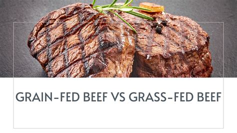 Grain Fed Beef Vs Grass Fed Beef