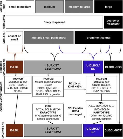 Figure 12 From Diagnosis Of Burkitt Lymphoma And Related High Grade B Cell Neoplasms Semantic