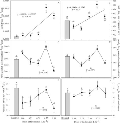 Activity Of The Enzymes Superoxide Dismutase Sod A Catalase