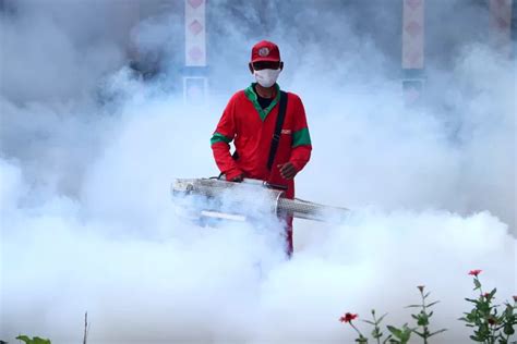 Cegah Dbd Merebak Lagi Di Kota Madiun Dinkes Lakukan Fogging Siklus