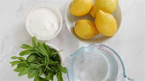 Homemade Lemon Italian Ice Recipe