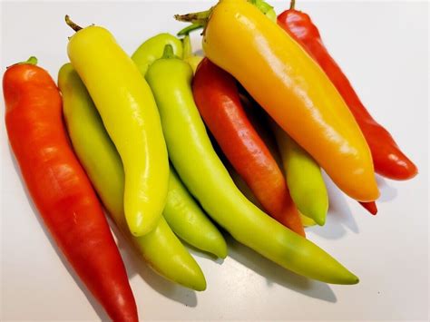 Hungarian Hot Wax Pepper Seeds Organically Grown Unique Creek Homestead EBay